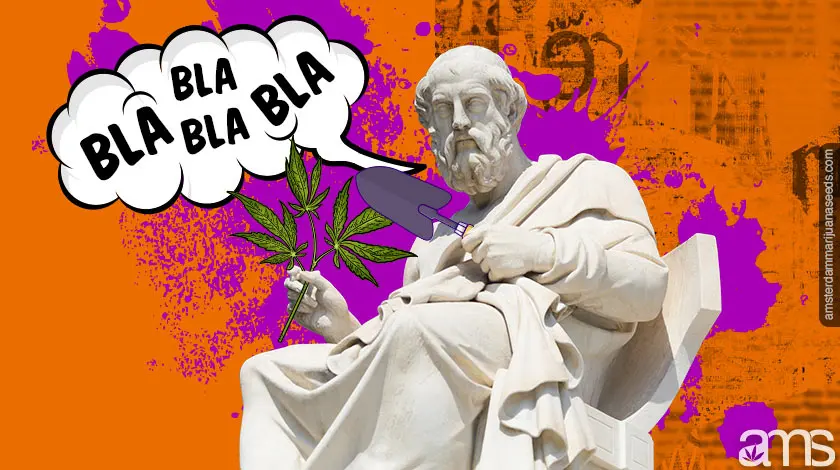 About us Imagen de Marihuana AMS9