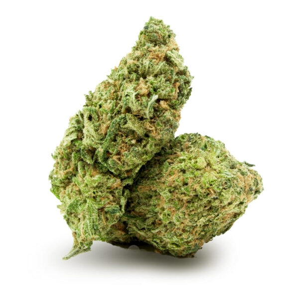 Lemonade Weed Strain