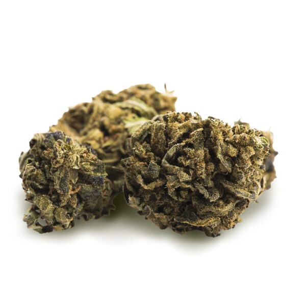 Stardust Weed Strain