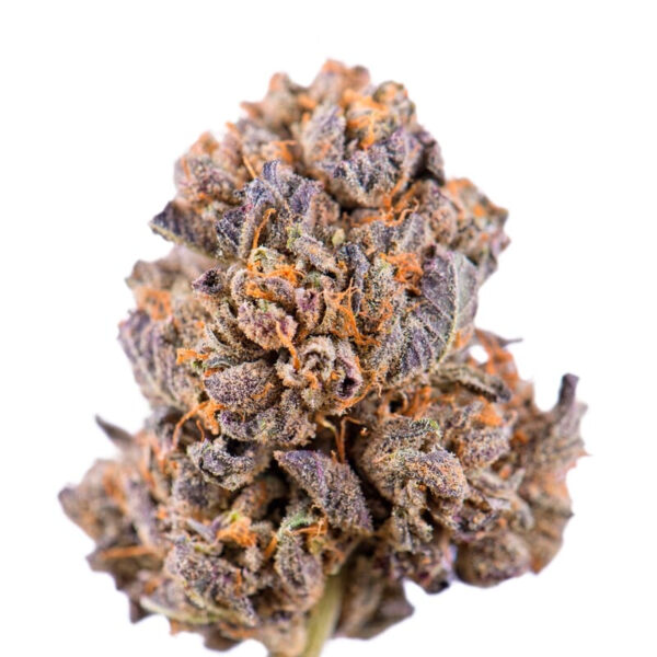 Sweet Caramelicious Weed Bud