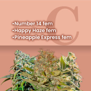 Indoor Growing Feminized Combo